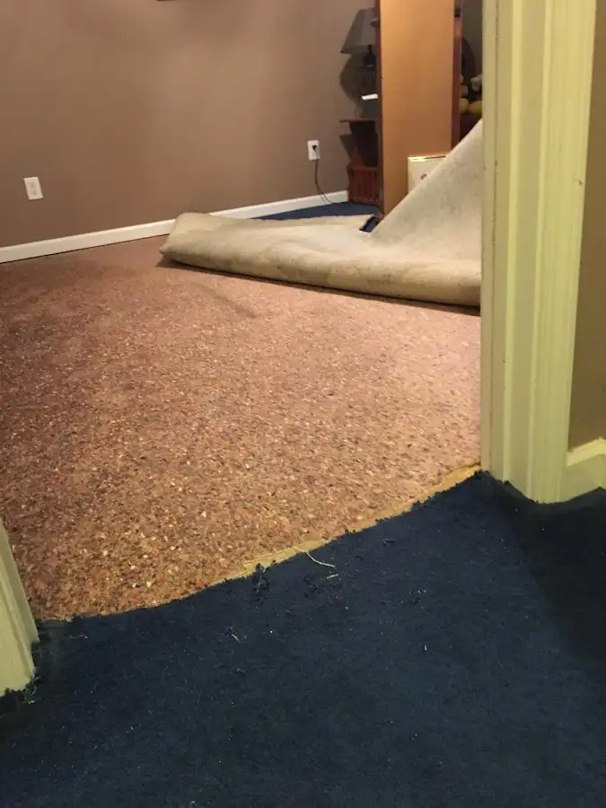 Carpet pad removal revealing water damage during Drying & Dehumidification in Kirkland