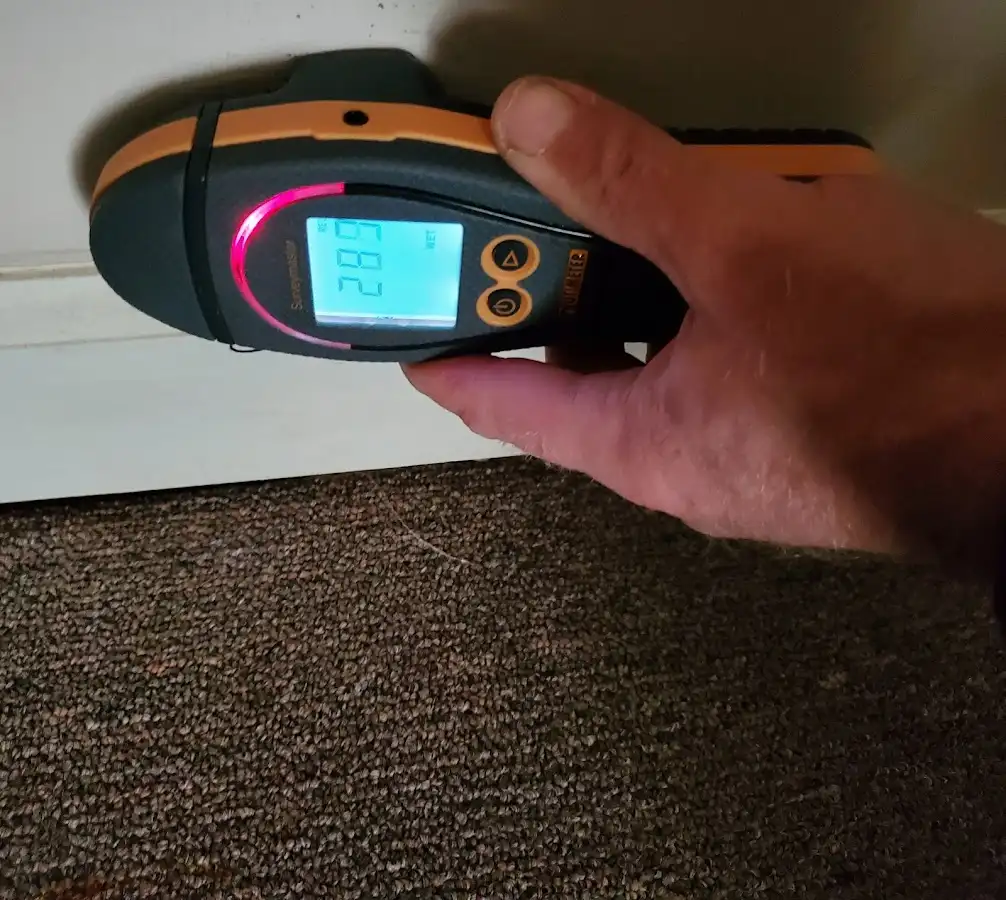 Moisture detection at baseboard during Sewage Cleanup & Sanitation in Kirkland